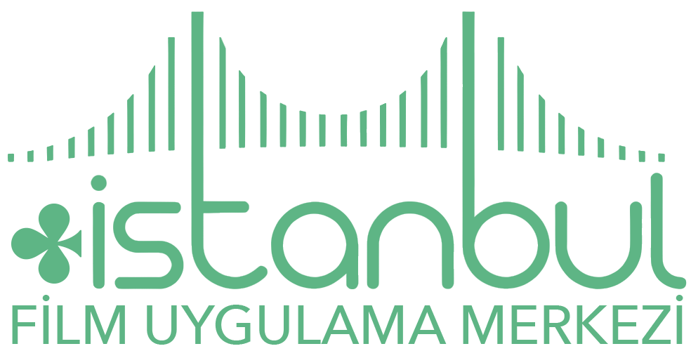 logo_renkli